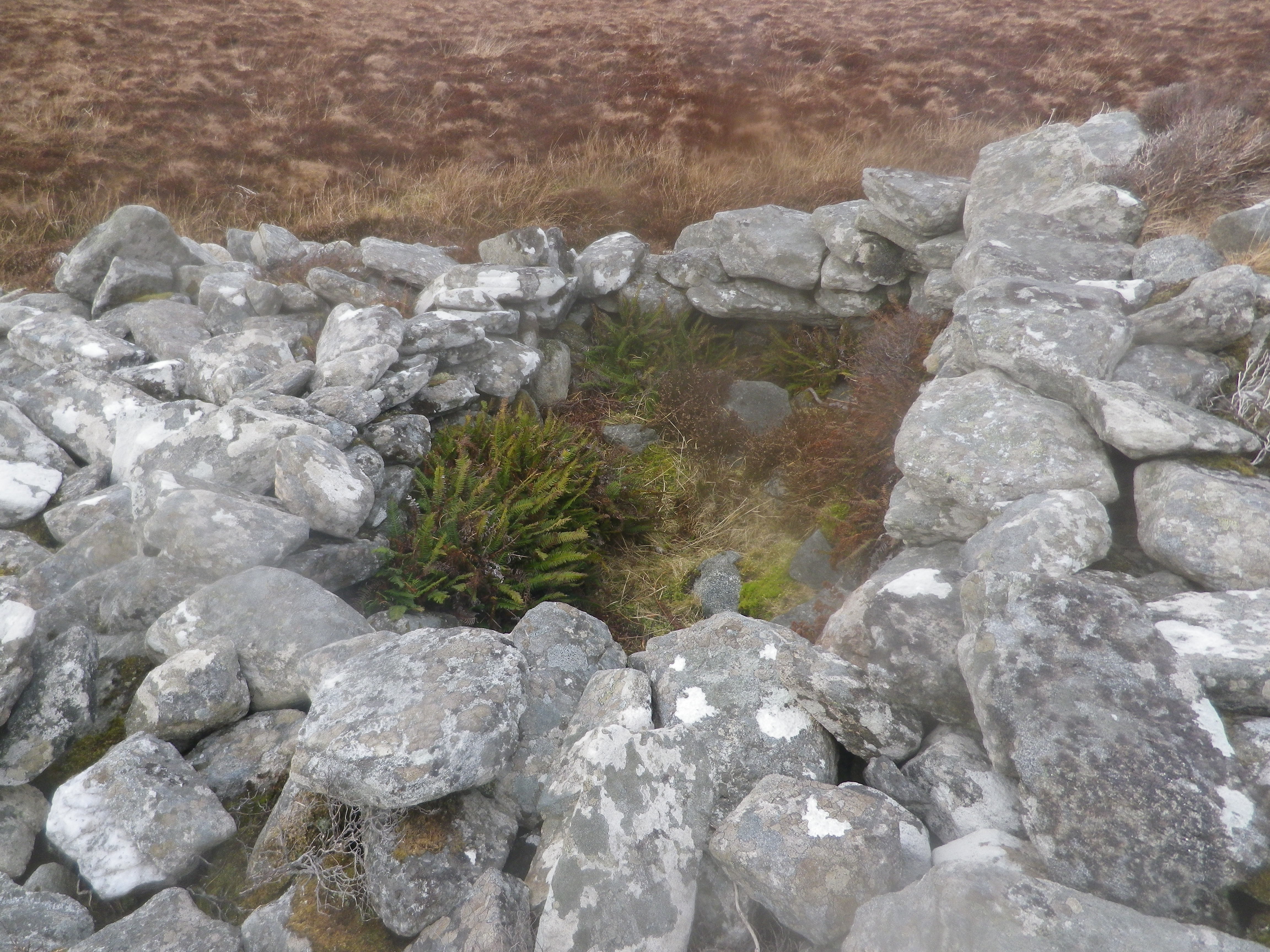 Is this the fateful clòsaid?