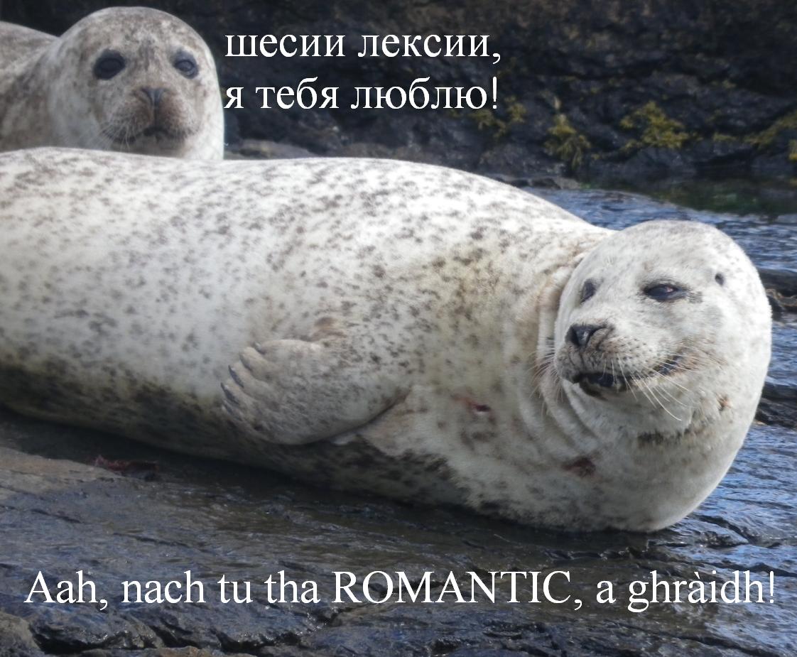 Island Voices FB page goes trilingual! DithisRonJPG