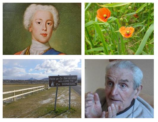 "Community Voices Collected"